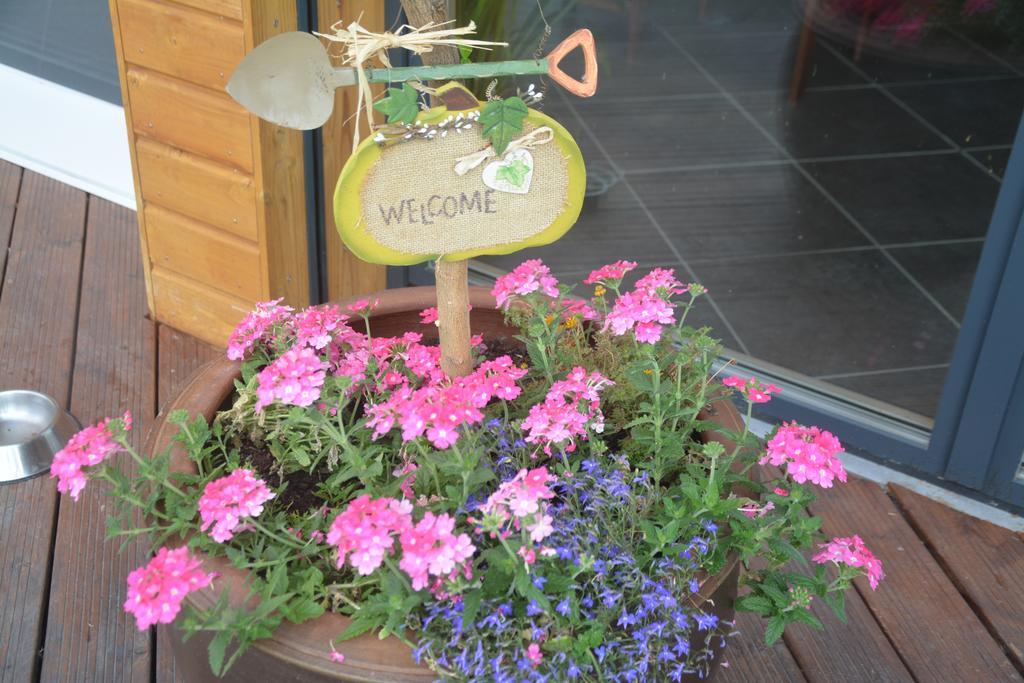 Bed and Breakfast Les Condamines Antoingt Екстер'єр фото